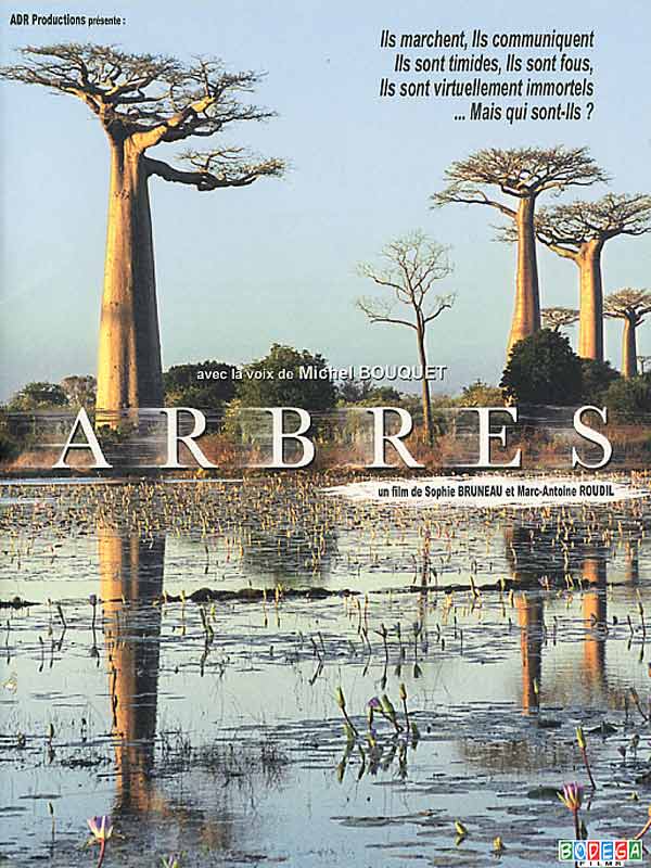 ARBRES