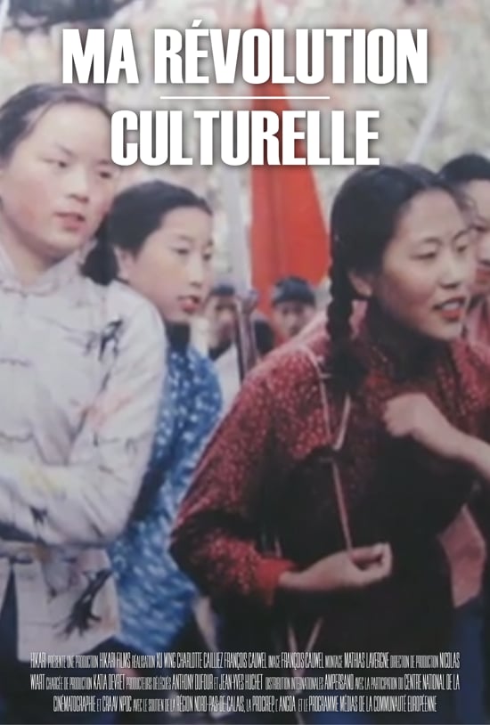 Ma révolution culturelle