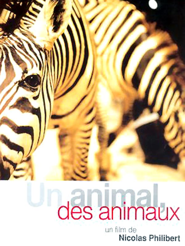 UN ANIMAL, DES ANIMAUX